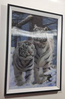 1990s Two White Tigers in Winter Scene 3D Holographic Stereoscopic 10 3/4" x 14 3/4" Wall Print Picture