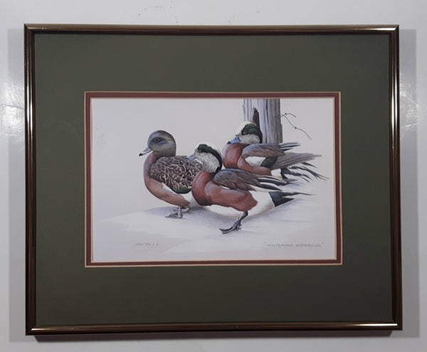Ducks Unlimited Artist Art Lamay "Wintering Widgeons" 11" x 13" Framed Wildlife Art Print - Glass Missing