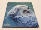 Sea Otter 2 1/2" x 3 1/8" Thin Fridge Magnet