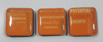 PD Opportunity Passion Potential Fridge Magnet Set of 3