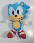 2020 Jakks Pacific SEGA Sonica The Hedge Hog 9" Tall Stuffed Toy Video Game Character Plush