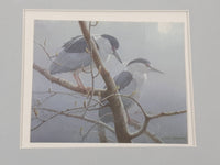1983 Robert Bateman Black Crown Night Heron Bird 4" x 5" Wildlife Art Print in 12 1/2" x 14 1/2" Frame