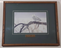Robert Bateman Fallen Willow - Snowy Owl Wildlife Art Print 14" x 17"