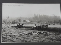 Antique 1905 Matsqui Prairie B.C. "Harvesting" Horse Pullen Baler MSA Museum Society 6 1/2" x 9 1/2" Black and White Photograph in 12 3/4" x 15 3/4" Metal Frame