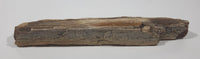 Very Nicely Detailed Specimen of Ancient Petrified Wood 8" Long