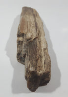 Very Nicely Detailed Specimen of Ancient Petrified Wood 8" Long