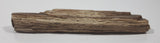 Very Nicely Detailed Specimen of Ancient Petrified Wood 8" Long