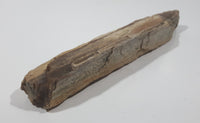 Very Nicely Detailed Specimen of Ancient Petrified Wood 8" Long