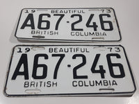 Matching Set of 2 Vintage 1973 Beautiful British Columbia White with Black Letters Agricultural Farm Plates A67 246