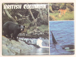 British Columbia Black Bear, Orca Killer Whale, Deer Themed 2 5/8" x 3 1/2" Fridge Magnet
