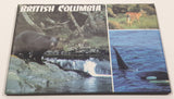 British Columbia Black Bear, Orca Killer Whale, Deer Themed 2 5/8" x 3 1/2" Fridge Magnet