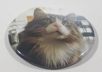 Cat Themed 2 1/4" Fridge Magnet