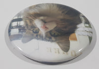 Cat Themed 2 1/4" Fridge Magnet