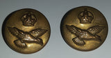 Antique Wm. Scully Ltd Montreal RCAF Royal Canadian Air Force 7/8" Brass Military Button Set of 2
