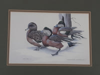 Ducks Unlimited Artist Art Lamay "Wintering Widgeons" 11" x 13" Framed Wildlife Art Print