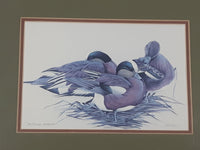 Ducks Unlimited Artist Art Lamay "Sitting Pretty" 11" x 13" Framed Wildlife Art Print
