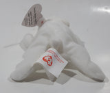 1999 Ty Beanie Babies Chilly The Polar Bear Stuffed Plush Toy New with Tags