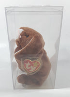 1995 Ty Beanie Babies Ears The Bunny Rabbit Stuffed Plush Toy New with Tags in Display Case