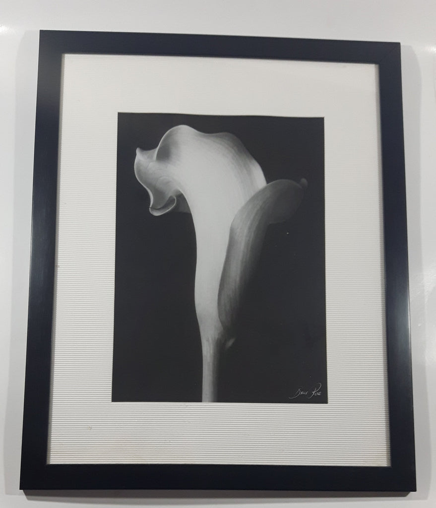 Arum Lily Flower by Bruce Rae 18