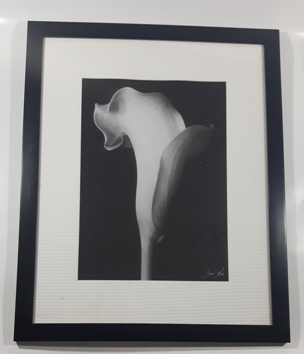 Arum Lily Flower by Bruce Rae 18