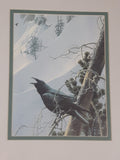 Robert Bateman "Raven Bird" Wildlife Art Print 12 1/2" x 14 1/2"