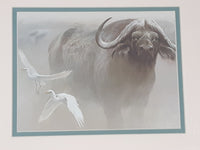 Robert Bateman "Water Buffalo" Wildlife Art Print 12 1/2" x 14 1/2"