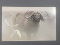 1979 Robert Bateman "Water Buffalo" Wildlife Art Print 14" x 18" No Frame