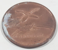Vintage Dino Coins Pteranodon Copper Metal Token Coin