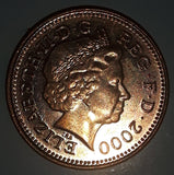 2000 UK Great Britain One Penny Queen Elizabeth II D.G. Reg F.D Metal Coin