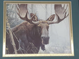 Vintage 1978 Robert Bateman The Challenge-Bull Moose Painting 13 1/2" x 16 1/2" Framed Wildlife Print