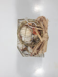 Seashell Filled Wire Cage 6" Tall
