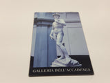 Galleria Dell' Accademia Michelangelo's David 2" x 3" Fridge Magnet