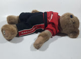 Boyds Racing Family NASCAR #8 Dale Earnhardt Jr. Brown Teddy Bear 16" Stuffed Animal New with Tags