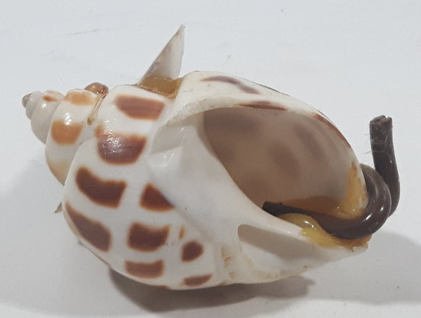 Sea Shell Mouse 1 3/4
