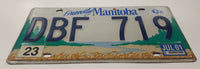 2001 Friendly Manitoba Blue Bison Metal Vehicle License Plate Tag DBF 719